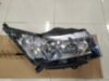 Body Parts CVCRZ09004R
