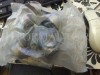 Nissan - Infinity - Datsun 3712501JX5