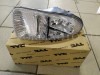TYC 19558500, 195585001A