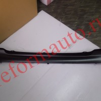 pty50136a.3.jpg